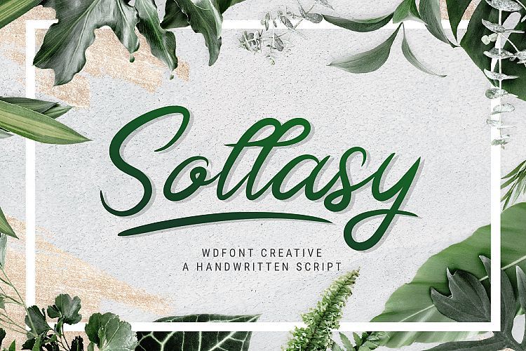 Sollasy Calligraphy Font