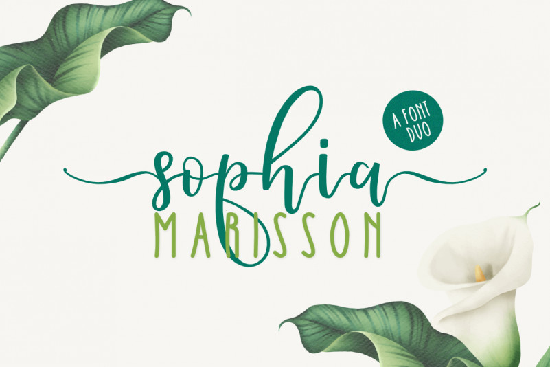 Sophia Marisson Calligraphy Script Font