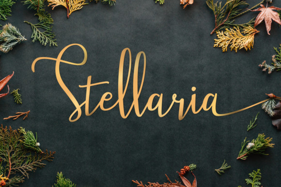 Stellaria Handwritten Font