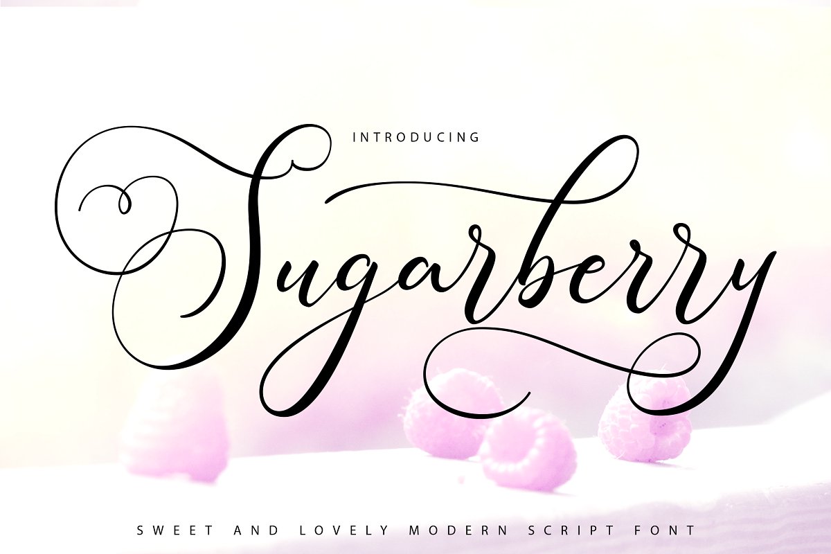 Sugarberry Calligraphy Script Font