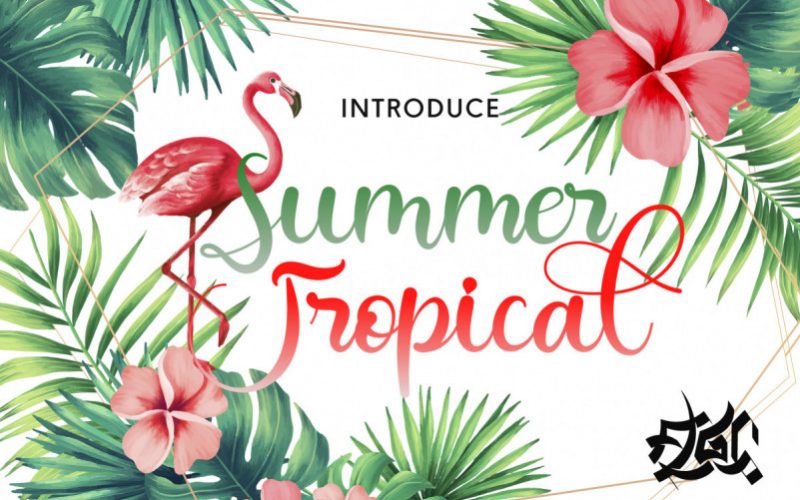 Summer Tropical Font