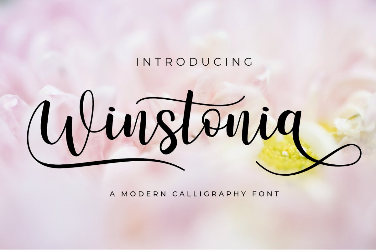 Winstonia Modern Calligraphy Font