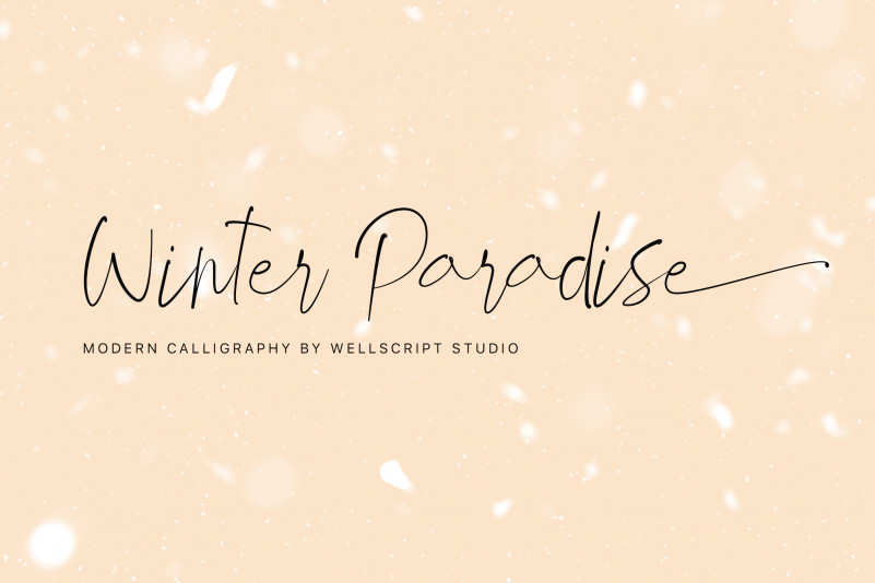 Winter Paradise Modern Script Font