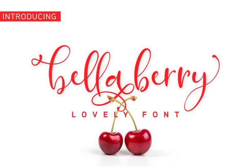 BellaBerry Script Font