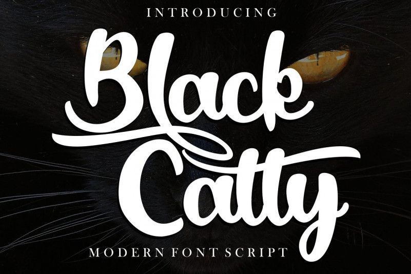 Black Catty Script Font