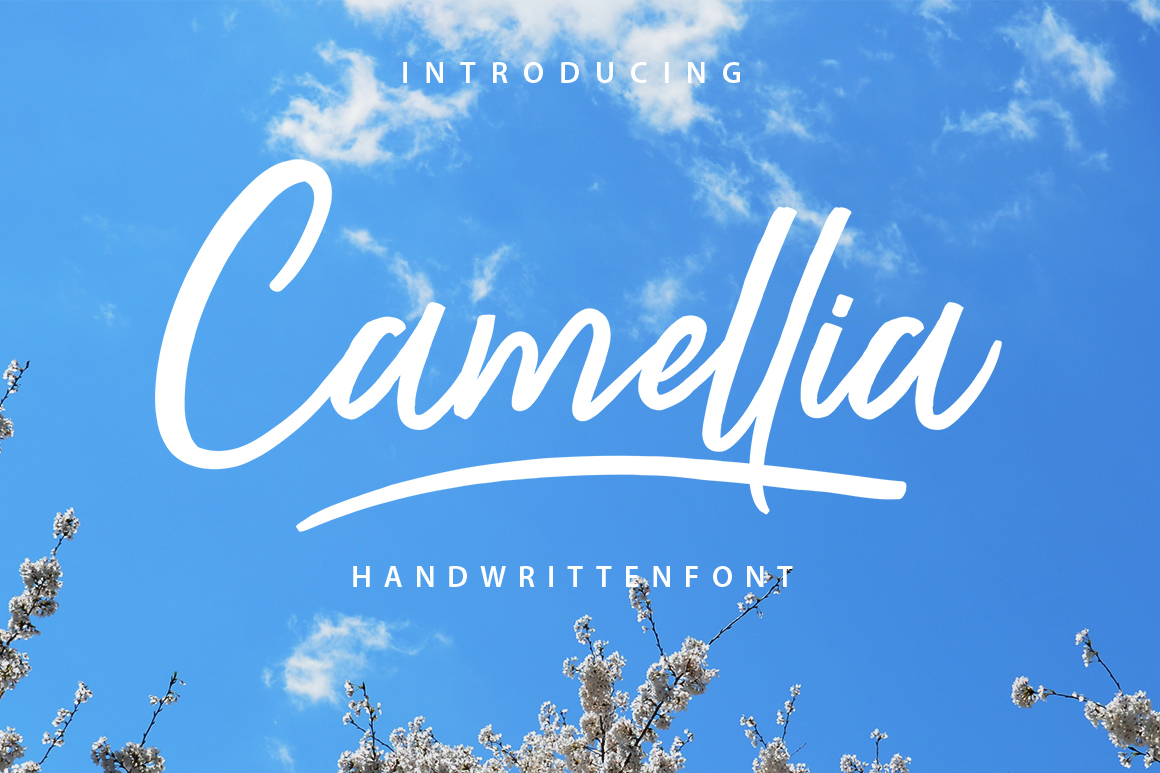 Camellia Script Font Free
