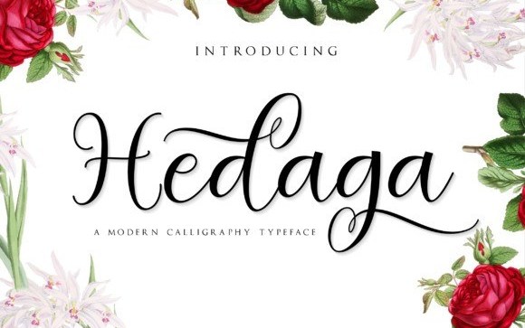 Hedaga Calligraphy Font