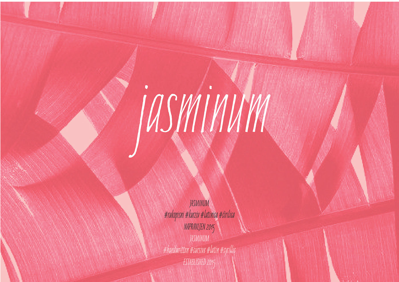 Jasminum Handwriting Font Free