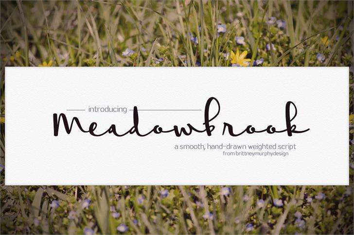 Meadowbrook Font Free