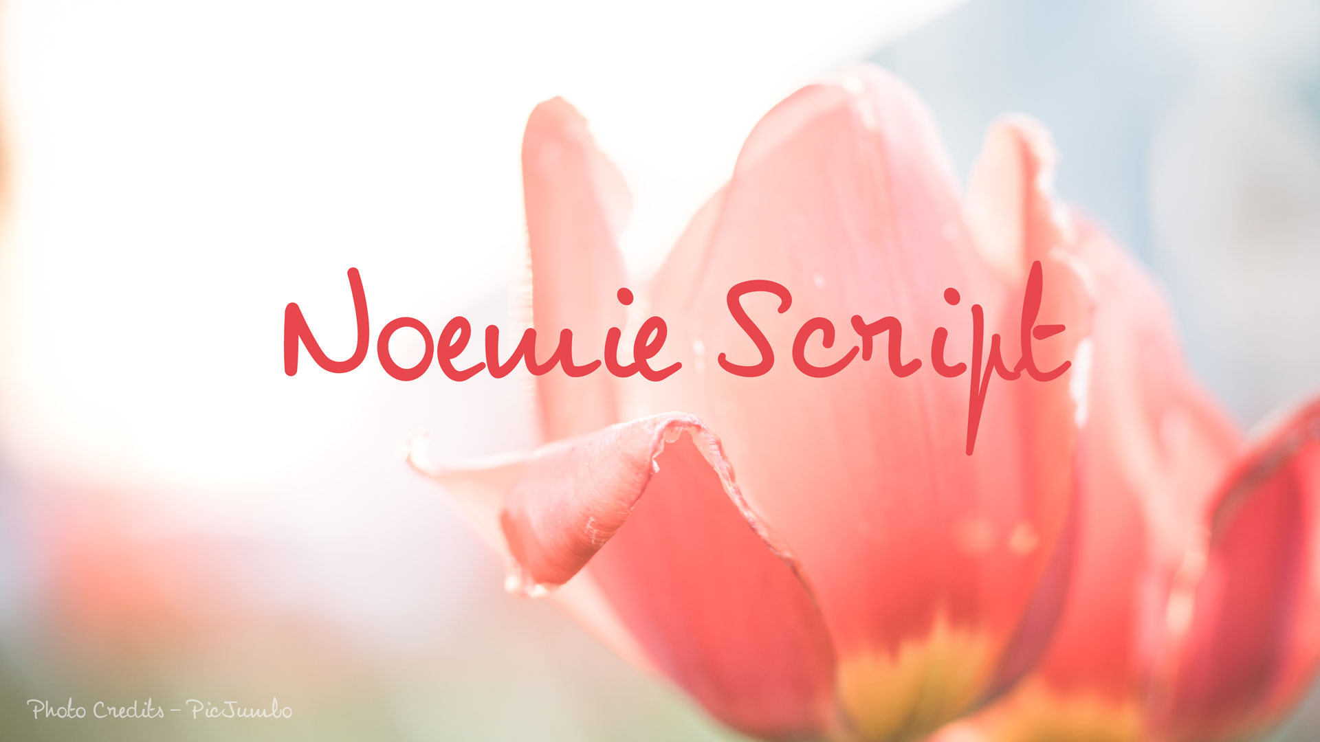 Noemie Script Font Free