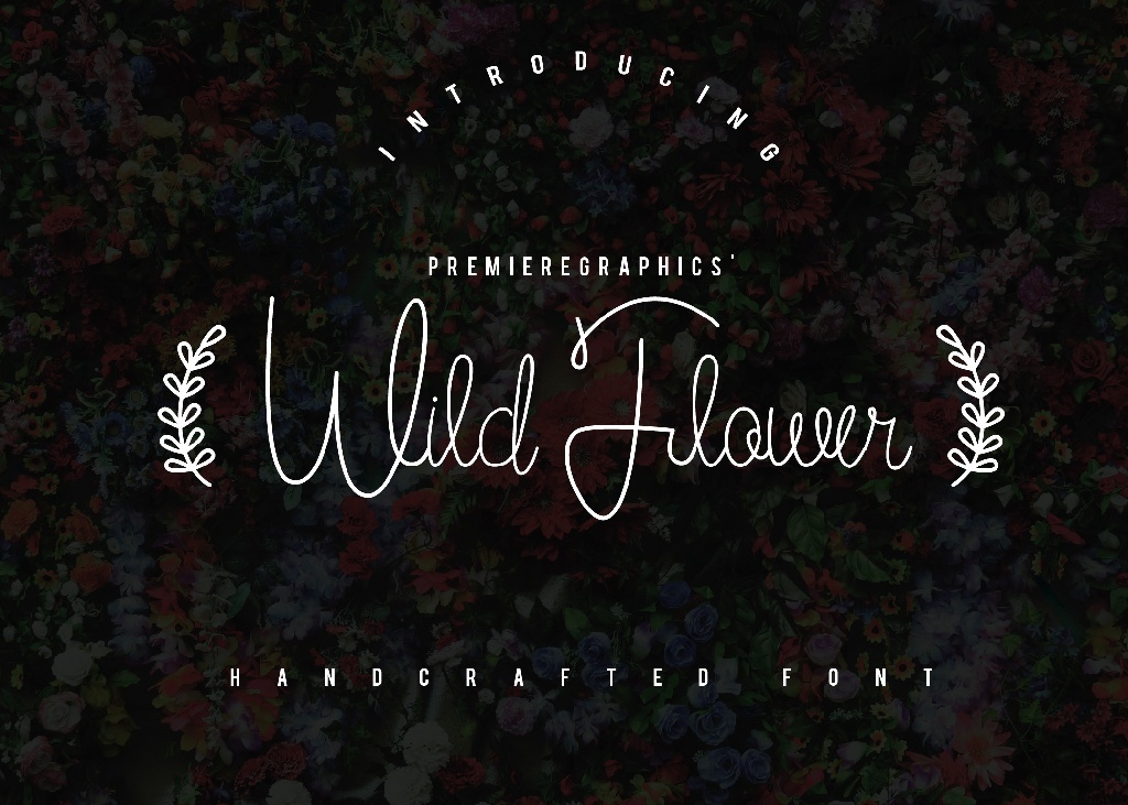 Wild Flower Script Font Free