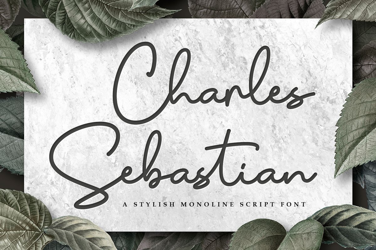 Charles Sebastian Monoline Script Font