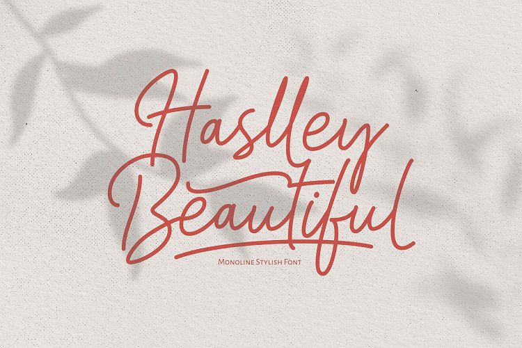 Haslley Beautiful Moniline Font