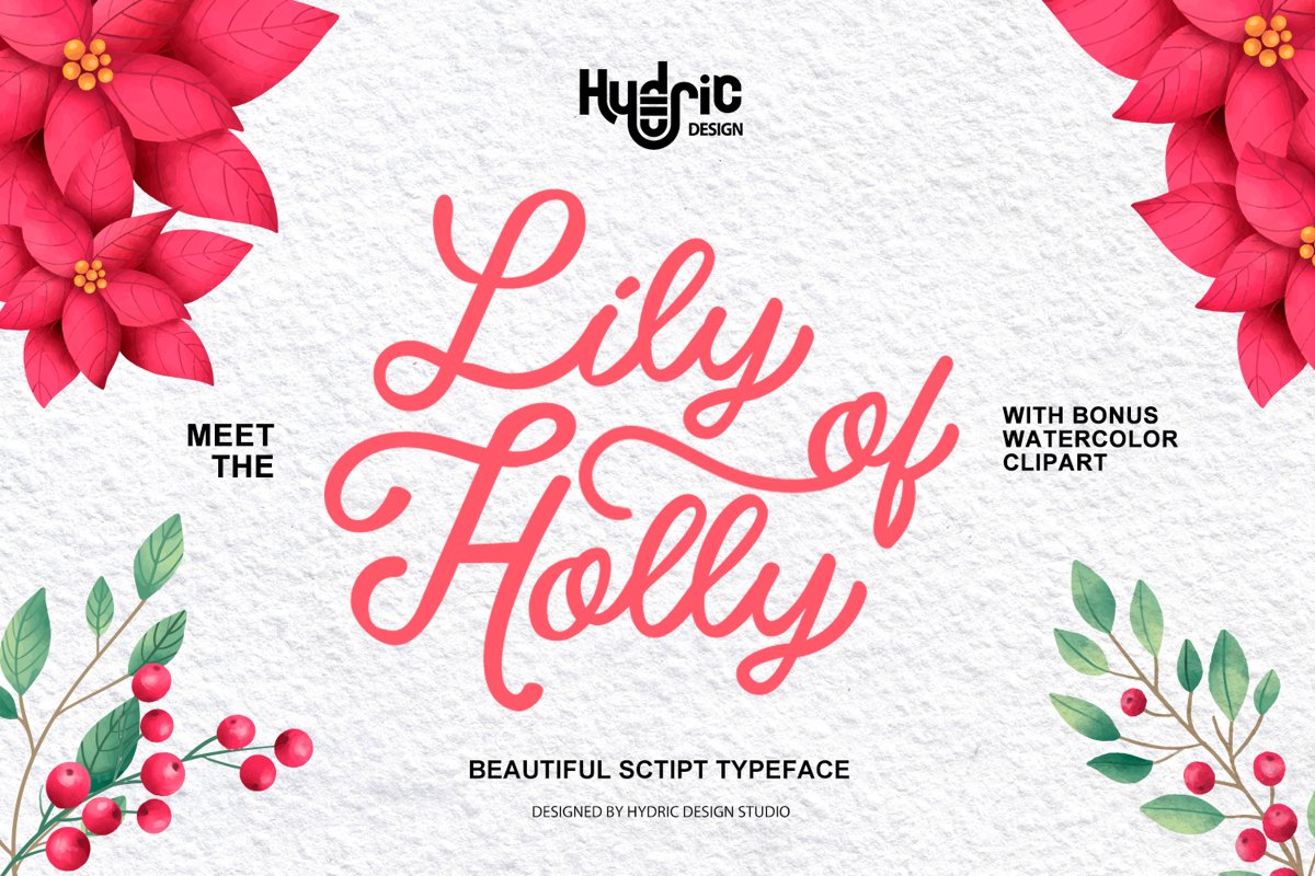 Lily Of Holly Typeface