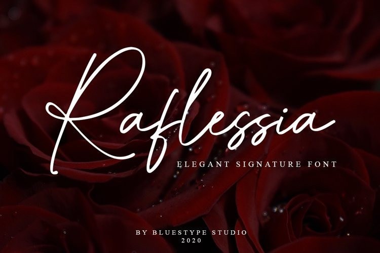 Raflessia Elegant Signature Font