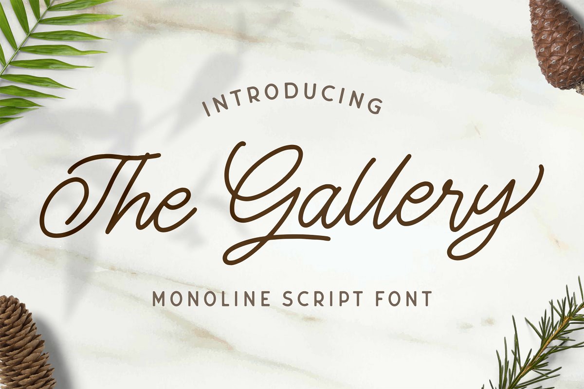 The Gallery Monoline Script Font