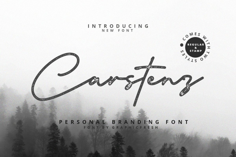 Carstenz Vintage Script Font