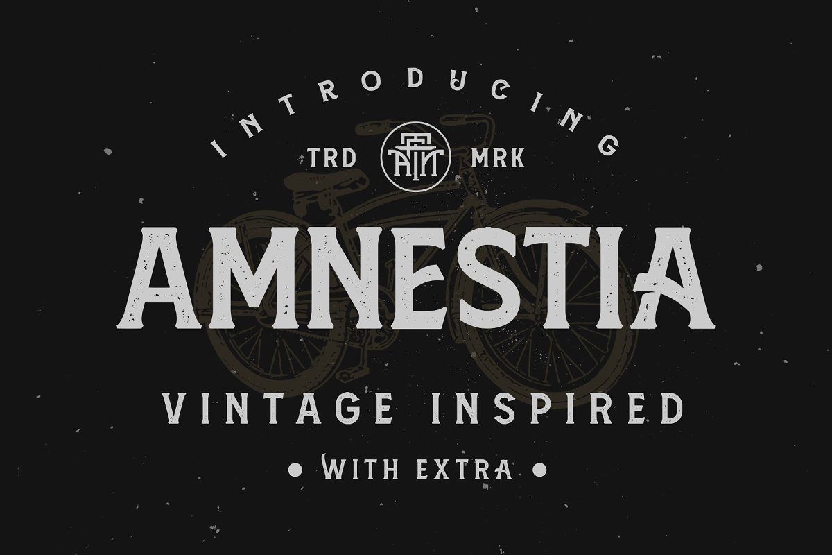 Amnestia Vintage Serif Typeface
