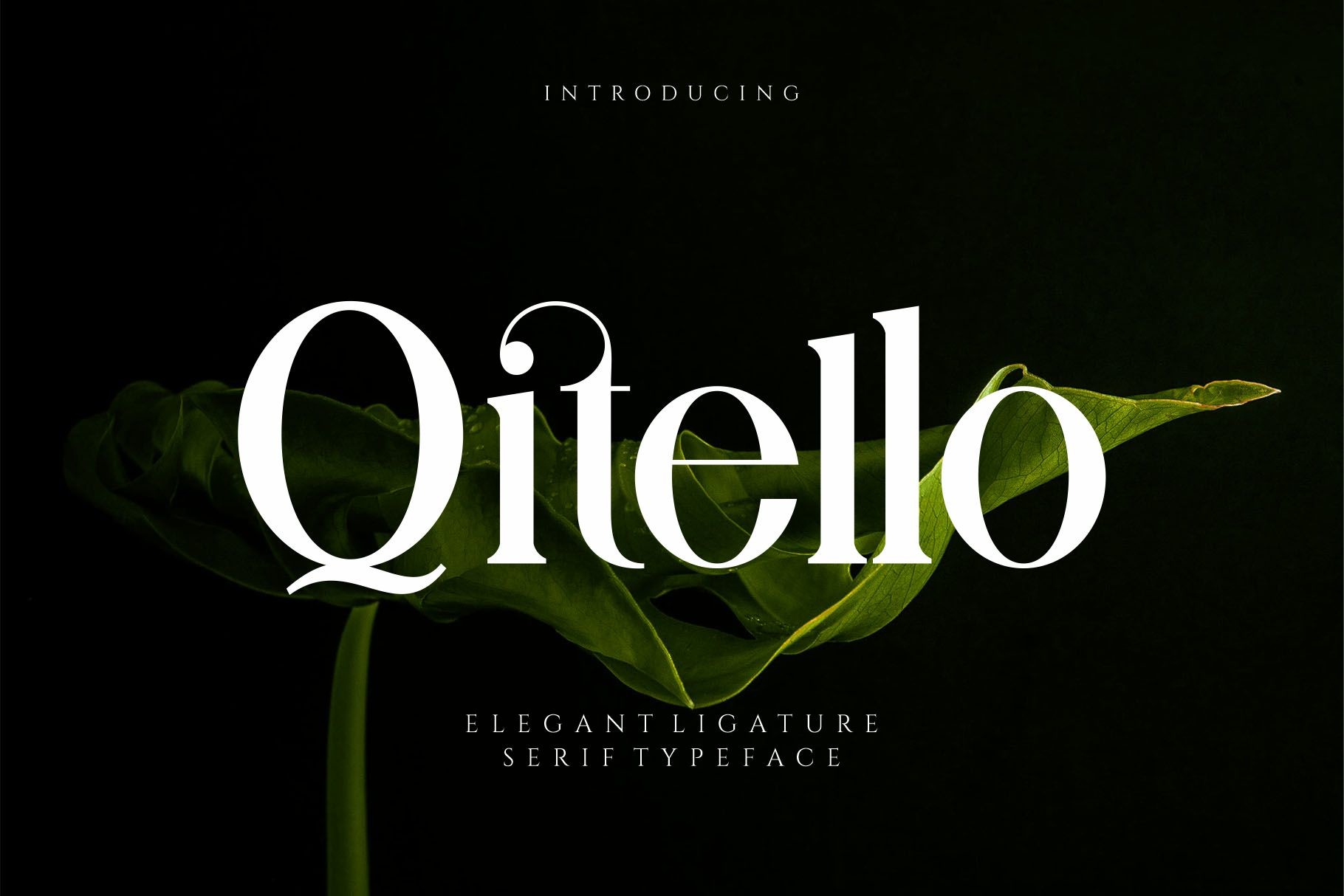 Qitello Font