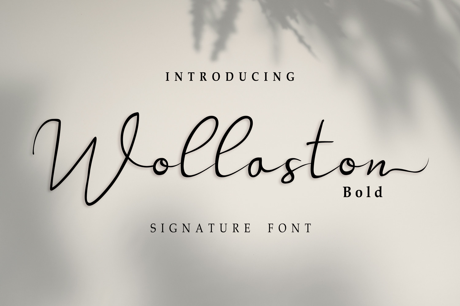 Wollaston Font