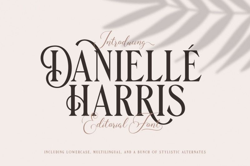Danielle Harris Display Font