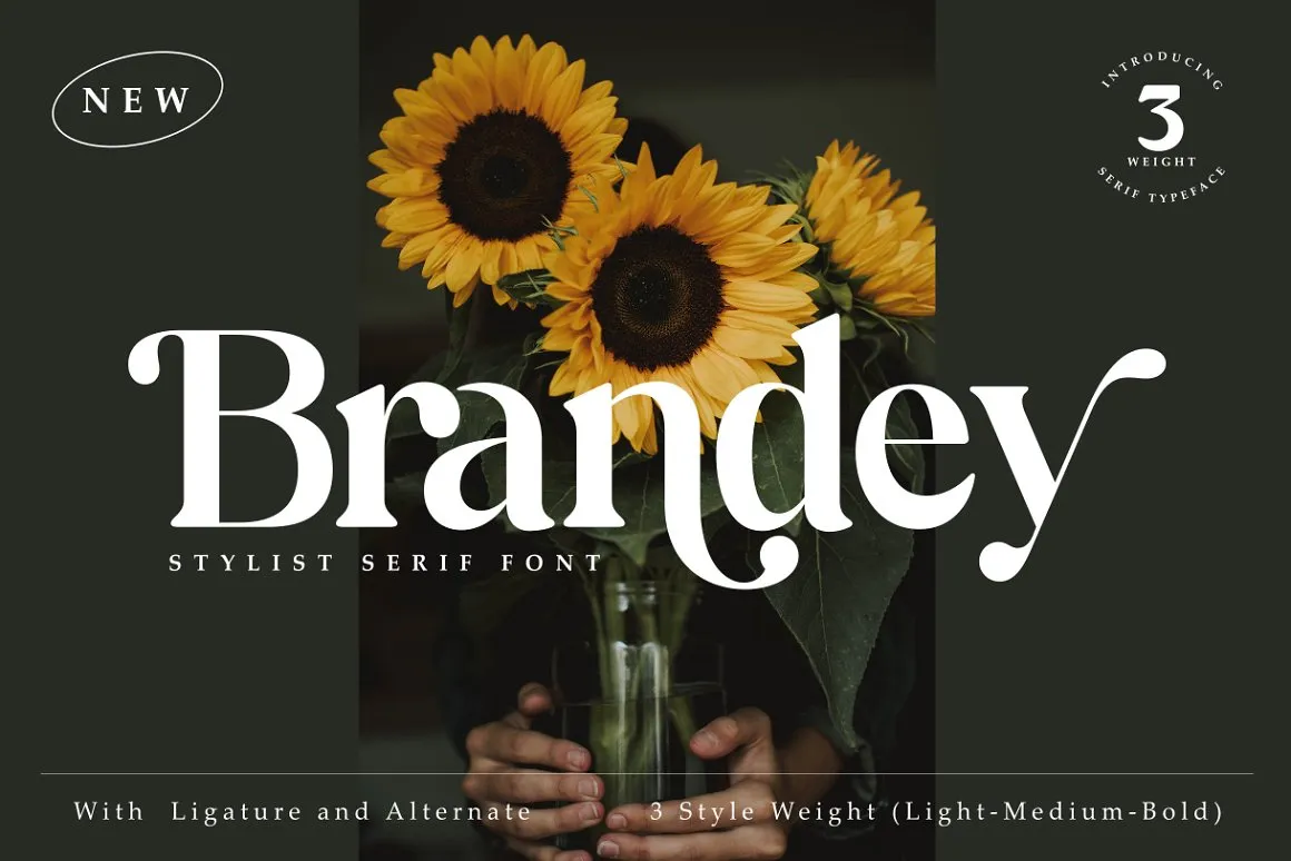 Brandey Font