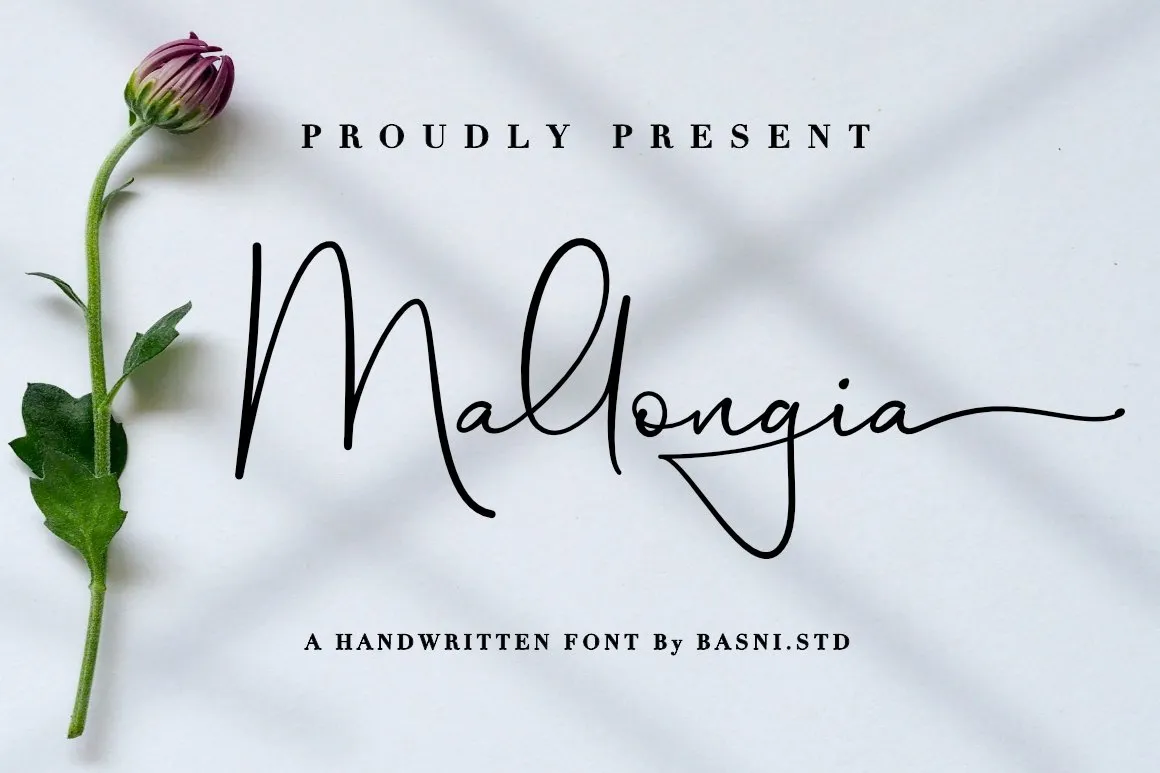 Mallongia Font