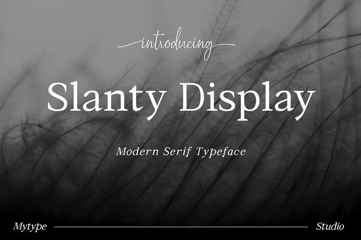 Slanty Display Font