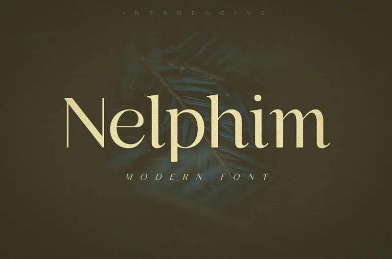 Nelphim Modern Sans Serif Font