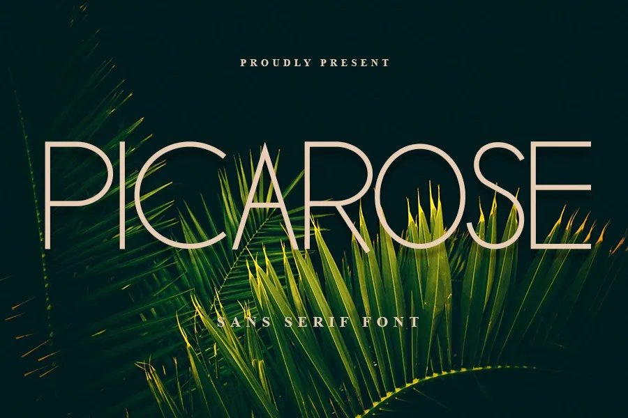 Picarose Font